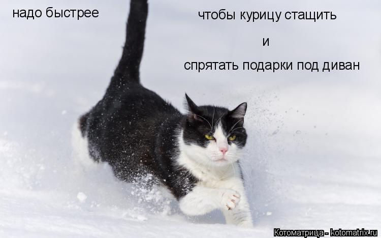 надо быстрее чтобы курицу стащить и спрятать подарки под диван... Котоматрица: надо быстрее чтобы курицу стащить и спрятать подарки под диван