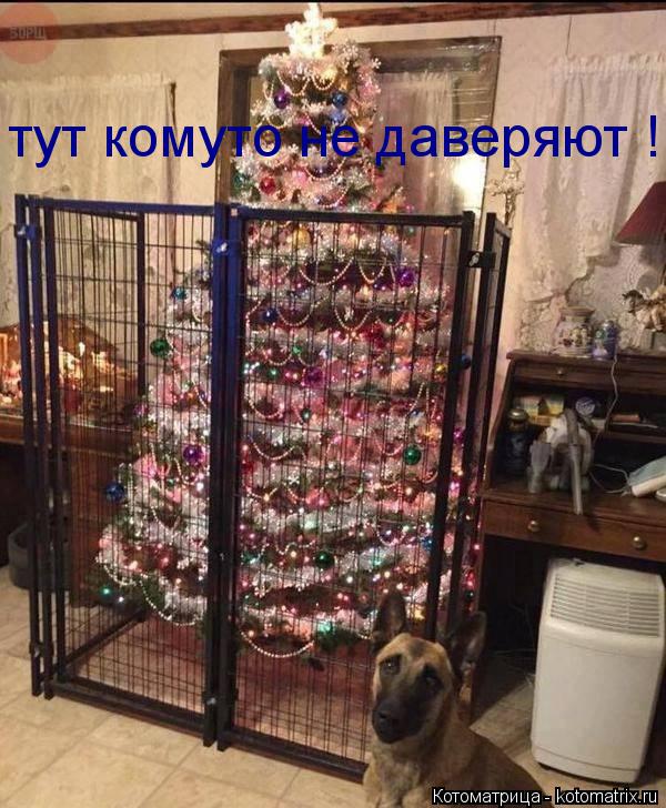 тут комуто не даверяют !... Котоматрица: тут комуто не даверяют !