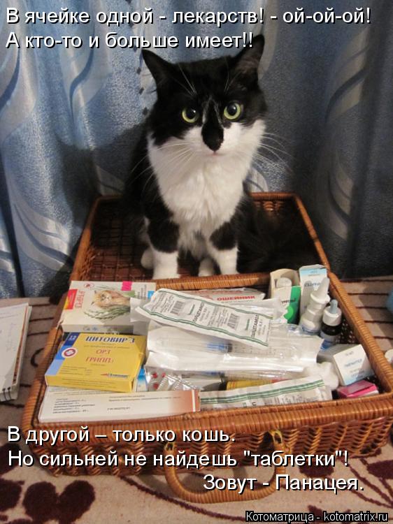 Котоматрица: В ячейке одной - лекарств! - ой-ой-ой! А кто-то и больше имеет!! В другой – только кошь.  Но сильней не найдешь "таблетки"!  Зовут - Панацея.