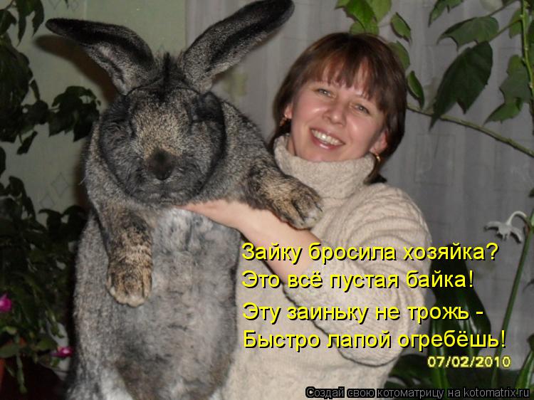 Котоматрица: Зайку бросила хозяйка? Это всё пустая байка! Эту заиньку не трожь - Быстро лапой огребёшь!