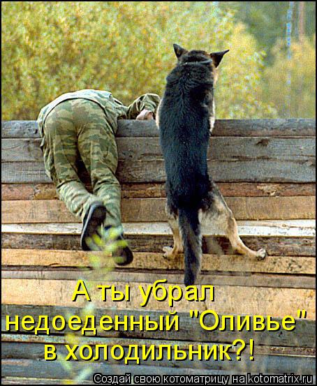А ты убрал недоеденный "Оливье" в холодильник?!... Котоматрица: А ты убрал недоеденный "Оливье" в холодильник?!