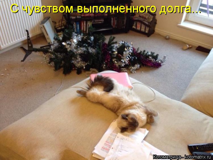 Котоматрица: С чувством выполненного долга...