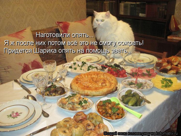 Наготовили опять... Я ж после них потом всё это не смогу сожрать! Придется Шарика опять на помощь зва... Котоматрица: Наготовили опять... Я ж после них потом всё это не смогу сожрать! Придется Шарика опять на помощь звать...