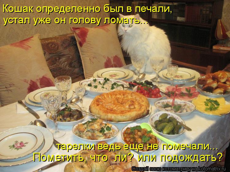 Пометить, что ли? или подождать? тарелки ведь еще не помечали... Кошак определенно был в печали, ус... Котоматрица: Пометить, что ли? или подождать? тарелки ведь еще не помечали... Кошак определенно был в печали, устал уже он голову ломать...