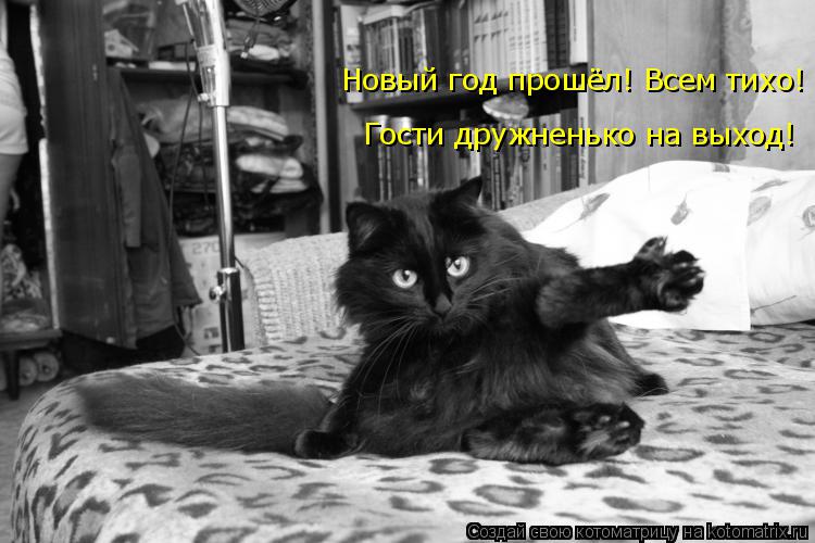 Котоматрица: Гости дружненько на выход! Новый год прошёл! Всем тихо!