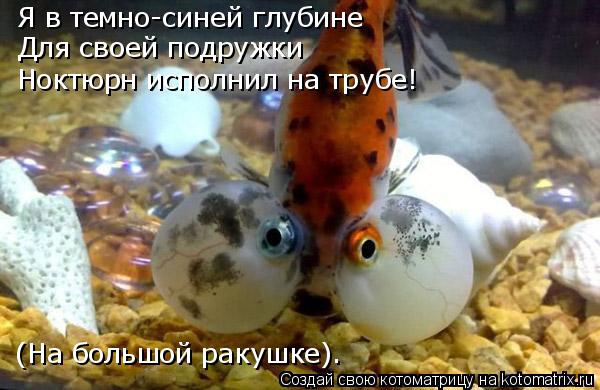 Я в темно-синей глубине Для своей подружки Ноктюрн исполнил на трубе! (На большой ракушке).... Котоматрица: Я в темно-синей глубине Для своей подружки Ноктюрн исполнил на трубе! (На большой ракушке).