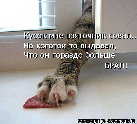 Кусок мне взяточник совал... Но коготок-то выдавал, Что он гораздо больше БРАЛ!... Котоматрица: Кусок мне взяточник совал... Но коготок-то выдавал, Что он гораздо больше БРАЛ!