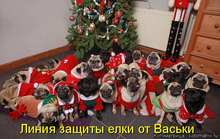 Котоматрица: Линия защиты елки от Васьки