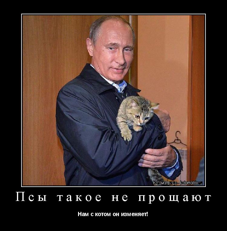 Котоматрица: Псы такое не прощают Нам с котом он изменяет!