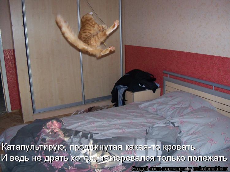 Котоматрица: Катапультирую, продвинутая какая-то кровать И ведь не драть хотел, намеревался только полежать