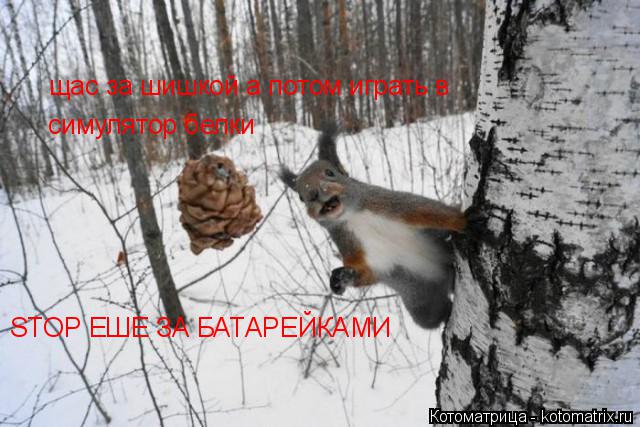 щас за шишкой а потом играть в симулятор белки STOP ЕШЕ ЗА БАТАРЕЙКАМИ... Котоматрица: щас за шишкой а потом играть в симулятор белки STOP ЕШЕ ЗА БАТАРЕЙКАМИ