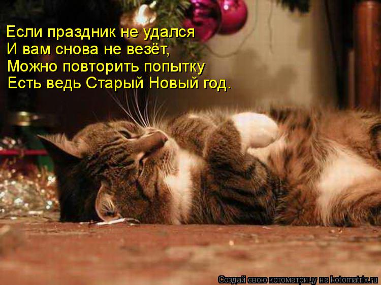 Котоматрица: Если праздник не удался И вам снова не везёт, Можно повторить попытку Есть ведь Старый Новый год.