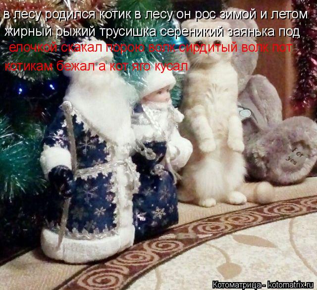 Котоматрица: в лесу родился котик в лесу он рос зимой и летом  жирный рыжий трусишка сереникий заянька под елочкой скакал порою волк сирдитый волк пот  к