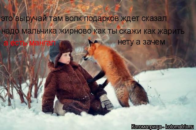 Котоматрица: это выручай там волк подарков ждет сказал надо мальчика жирново как ты скажи как жарить а есть мангал нету а зачем
