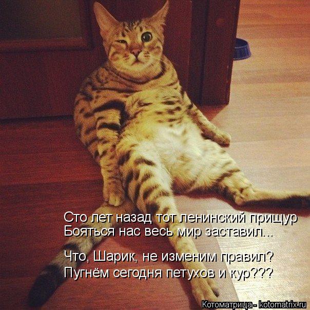 Котоматрица: Сто лет назад тот ленинский прищур Бояться нас весь мир заставил... Что, Шарик, не изменим правил? Пугнём сегодня петухов и кур???