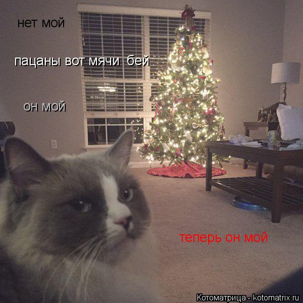 Котоматрица: пацаны вот мячи  бей теперь он мой нет мой он мой