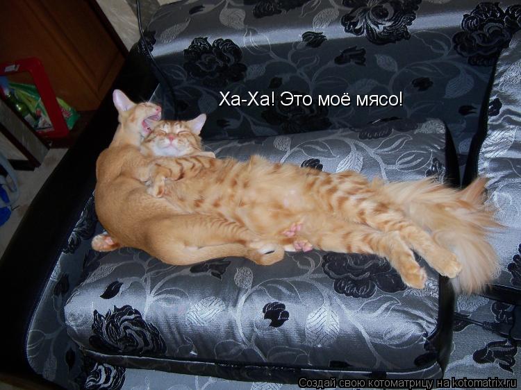 Котоматрица: Ха-Ха! Это моё мясо!