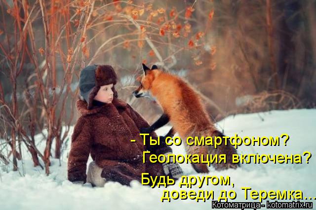 Котоматрица: - Ты со смартфоном? Геолокация включена?  доведи до Теремка... Будь другом,