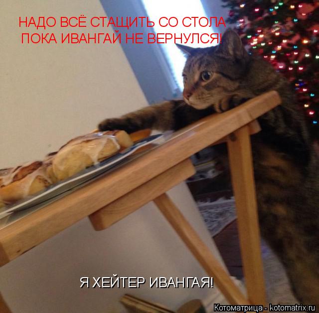 Котоматрица: НАДО ВСЁ СТАЩИТЬ СО СТОЛА ПОКА ИВАНГАЙ НЕ ВЕРНУЛСЯ! Я ХЕЙТЕР ИВАНГАЯ!