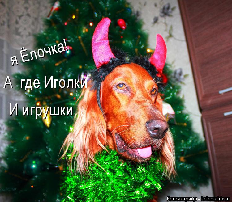 Котоматрица: я Ёлочка! А  где Иголки И игрушки