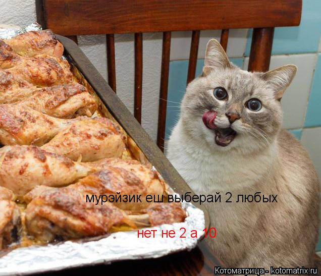Котоматрица: мурэйзик еш выберай 2 любых нет не 2 а 10