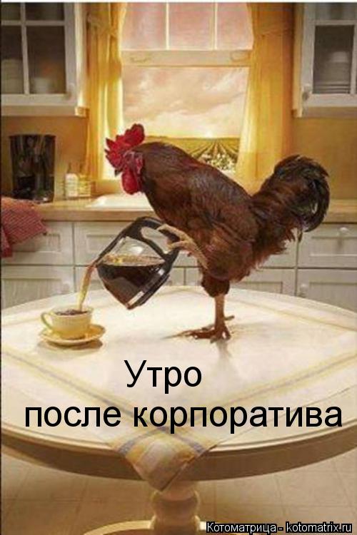 Котоматрица: после корпоратива Утро