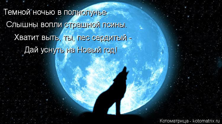 Котоматрица: Темной ночью в полнолунье Слышны вопли страшной псины. Хватит выть, ты, пес сердитый - Дай уснуть на Новый год!