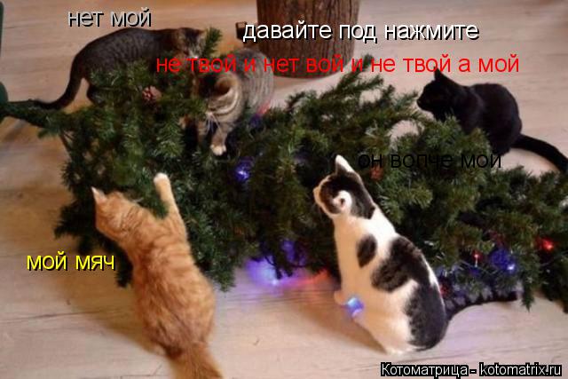 Котоматрица: давайте под нажмите  мой мяч нет мой он вопче мой не твой и нет вой и не твой а мой