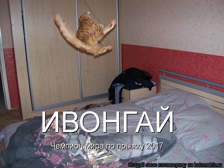 Котоматрица: Чемпион мира по прыжку 2017 ИВОНГАЙ