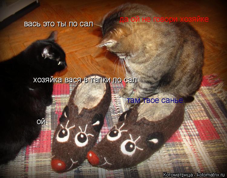 Котоматрица: вась это ты по сал да ой не говори хозяйке хозяйка вася в тапки по сал там твое санье ой