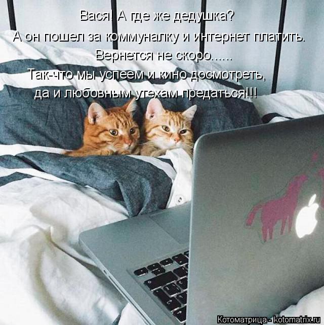Котоматрица: Вася! А где же дедушка? Вернется не скоро...... Так-что мы успеем и кино досмотреть, да и любовным утехам предаться!!! А он пошел за коммуналку и 