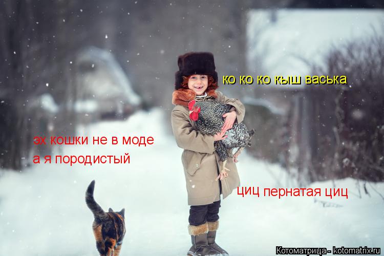 Котоматрица: эх кошки не в моде а я породистый ко ко ко кыш васька циц пернатая циц