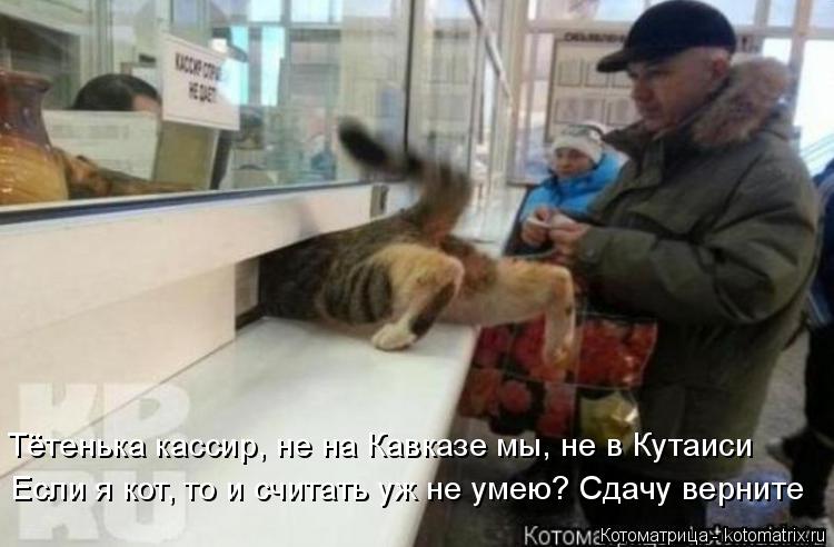 Котоматрица: Тётенька кассир, не на Кавказе мы, не в Кутаиси Если я кот, то и считать уж не умею? Сдачу верните