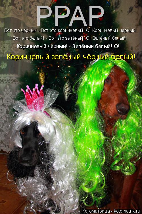 Котоматрица: Вот это чёрный - Вот это коричневый! О! Коричневый чёрный! Вот это белый! - Вот это зелёный! О! Зелёный белый! Коричневый чёрный! - Зелёный белый