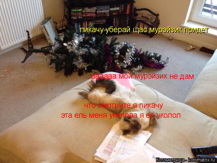 Котоматрица: что смотрите я пикачу эта ель меня уколола я её уколол пикачу уберай щас мурэйзик придет аааааа мой мурэйзик не дам
