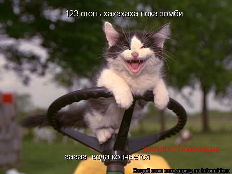 Котоматрица: 123 огонь хахахаха пока зомби эээллллллоооооррр ааааа  вода кончается