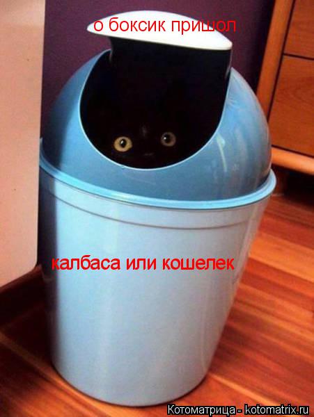 Котоматрица: о боксик пришол калбаса или кошелек калбаса или кошелек