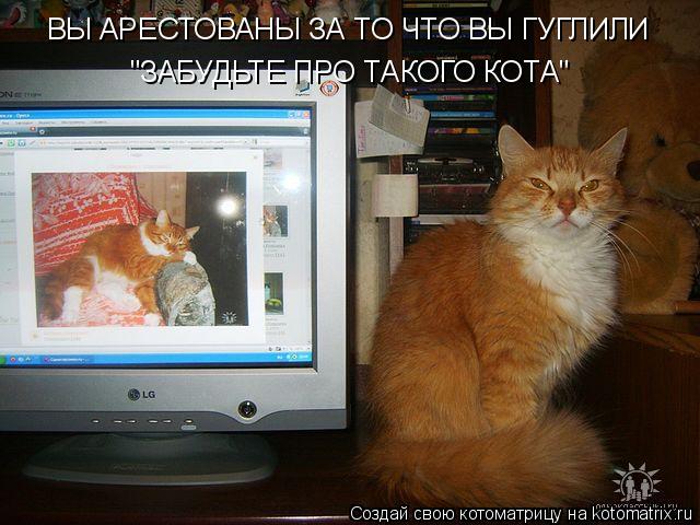 Котоматрица: ВЫ АРЕСТОВАНЫ ЗА ТО ЧТО ВЫ ГУГЛИЛИ "ЗАБУДЬТЕ ПРО ТАКОГО КОТА"