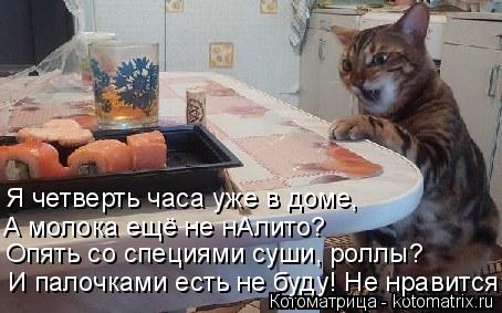 Котоматрица: Я четверть часа уже в доме, А молока ещё не нАлито? Опять со специями суши, роллы? И палочками есть не буду! Не нравится