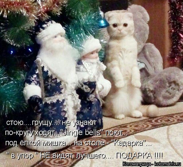 Котоматрица: по-кругу ходят..."Jingle bells" поют... под ёлкой мишка... на столе - "Кадарка"...  " в упор " НЕ видят, лучшего.... ПОДАРКА !!!! стою....грущу.... не узнают !