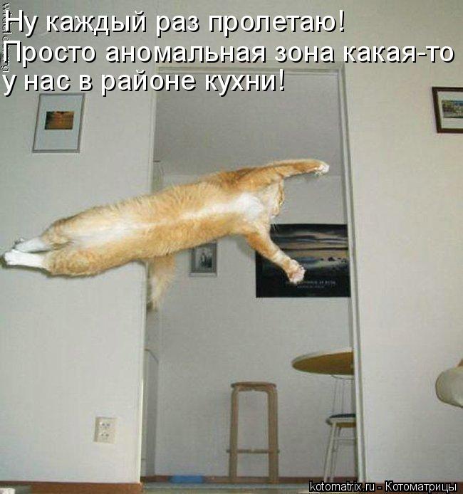 Котоматрица: Ну каждый раз пролетаю! Просто аномальная зона какая-то у нас в районе кухни!