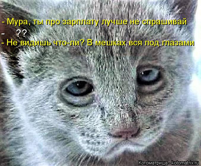 Котоматрица: - Мура, ты про зарплату лучше не спрашивай -    ?? - Не видишь что-ли? В мешках вся под глазами
