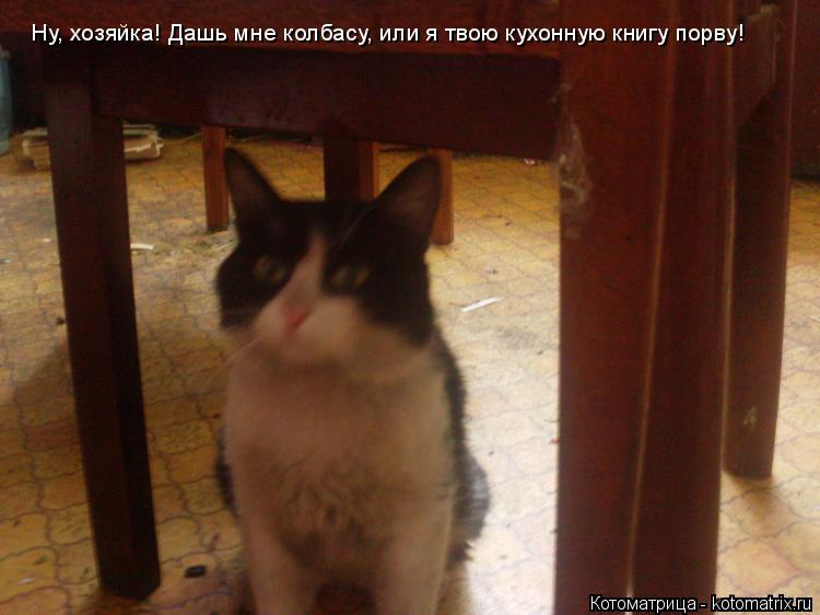 Котоматрица: Ну, хозяйка! Дашь мне колбасу, или я твою кухонную книгу порву!