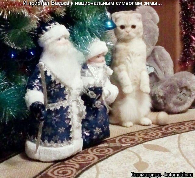 Котоматрица: И пристал Васька к национальным символам зимы...