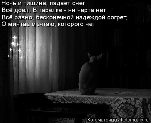 Котоматрица: Ночь и тишина, падает снег Всё доел. В тарелке - ни черта нет Всё равно, бесконечной надеждой согрет, О минтае мечтаю, которого нет