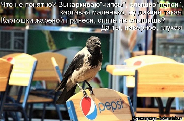 Котоматрица: Что не понятно? Выкаркиваю"чипсы", слышно"пепси", картавая маленько, ну дикция такая Картошки жареной принеси, опять не слышишь? Да ты, наверн