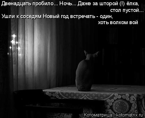 Котоматрица: Двенадцать пробило... Ночь... Даже за шторой (!) ёлка, стол пустой... Ушли к соседям Новый год встречать - один, хоть волком вой
