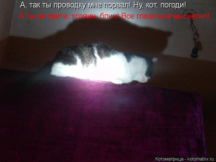 Котоматрица: А, так ты проводку мне порвал! Ну, кот, погоди! А ты не свети, хозяин, блин! Все глаза мне высветил!