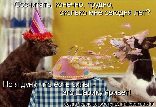 Котоматрица: Сосчитать, конечно, трудно, сколько мне сегодня лет? Но я дуну, что есть силы - это Шарику привет!