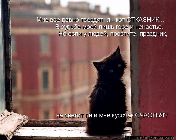 Котоматрица: Но если у людей, простите, праздник,  Мне все давно твердят: я - кот ОТКАЗНИК... В судьбе моей лишь горе и ненастье. не светит ли и мне кусочек СЧ